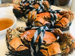 金毛大闸蟹-北京王府井希尔顿酒店·万斯阁西餐厅
