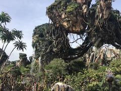 -奥兰多迪士尼动物王国乐园