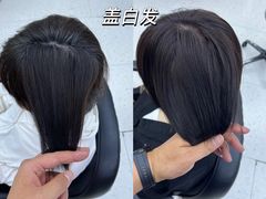 -宋家庄(地铁站)