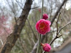 -南翔镇银翔湖公园