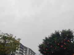 -磁器口古镇