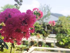 -雅达·阳羡溪山小镇中心