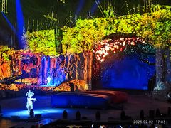 -广州长隆国际大马戏