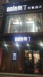 -ODIN 奥丁形象设计 