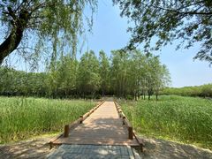 -东郊湿地公园