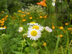 -锦屏山旅游度假区