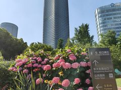 -北外滩滨江绿地