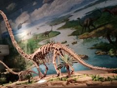 -自贡恐龙博物馆