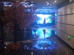 -飞扬影城(正佳IMAX店)
