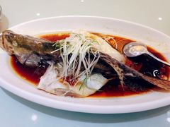 清蒸桂鱼-雅和生态渔庄·宜城锅巴饭(龙灵山公园店)