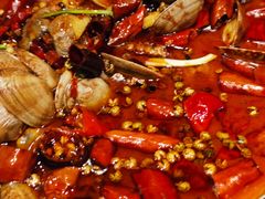 -老板恋上鱼(恒隆广场店)