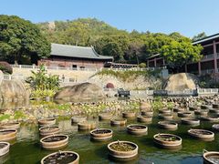 -石峰岩寺