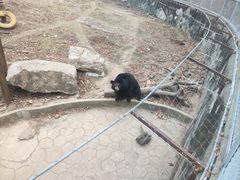 -无锡动物园·太湖欢乐园