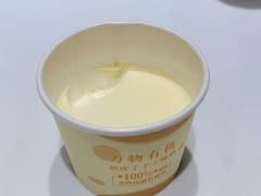 自制酸奶-紫光园(创始店)