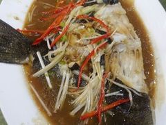 葱油多宝鱼-纪林菜馆·博山菜老字号(华光路店)