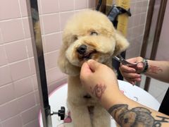 -FAELING PETS美天灵宠物(富力广场店)