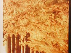 -手功王养生·足疗按摩·SPA·采耳(天府路店)