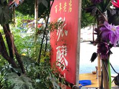 -张醪糟