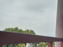 -清溪大王山森林公园