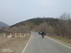 -阳台山自然风景区