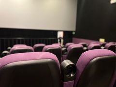 -中影嘉华国际影城(大芬星都里店)