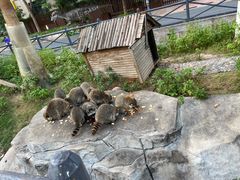 -灵玲国际马戏城
