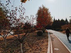 -太阳宫公园