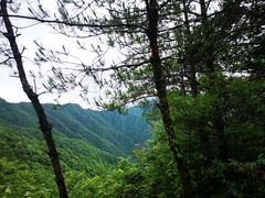 -井冈山风景名胜区-黄洋界