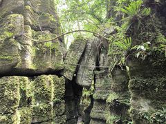 -梭布垭石林景区