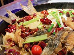 -老板恋上鱼(恒隆广场店)