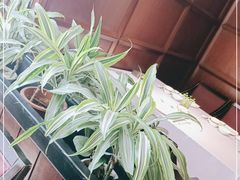 -大蓉和(一品天下店)