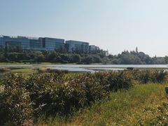 -华侨城湿地公园