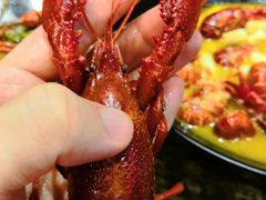 -赤甲皇(仙霞路店)