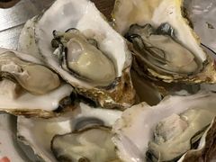 蒸汽生蚝-辉记炭烧海鲜大排档·老字号(福田店)