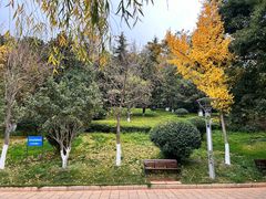 -洛龙公园