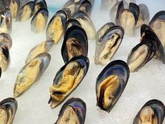 -星海汇海鲜烤肉火锅自助(二七广场百年德化店)