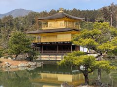 -豆政(金閣寺境内売店)