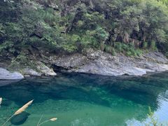 -石台牯牛降景区