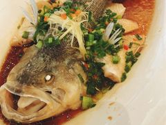 清蒸鲈鱼-眉州东坡(北苑华贸店)