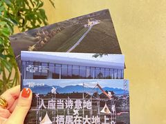 -白茶原·一片叶子