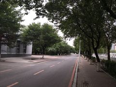 -吉林大学(南岭校区)