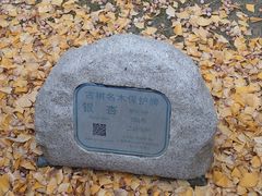 -上海青龙寺