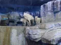 -多彩贵州城极地海洋世界