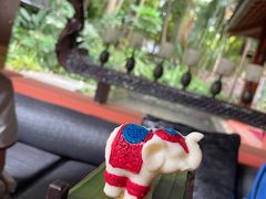 -西双版纳洲际度假酒店兰吧