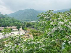 -大余丫山旅游度假区