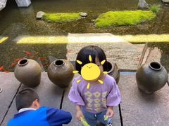 -几荷·恰似故人来(秀水广场店)