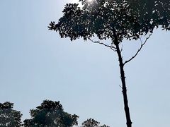 -东寨港红树林旅游区