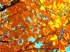 -丹东天桥沟景区