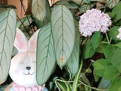 -萤火虫咖啡(后海店)