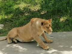 -西安秦岭野生动物园